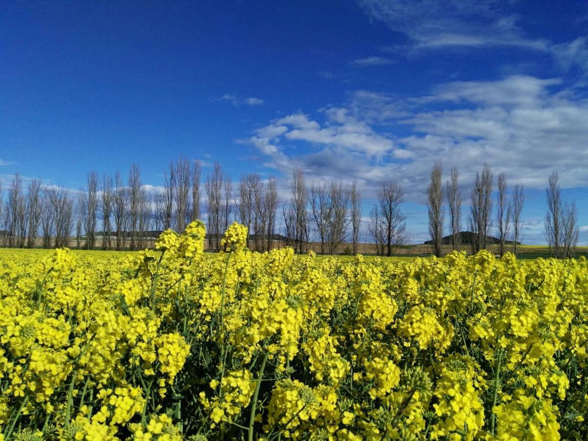 Mota del MarquésLa Aldea Coloradaアパートメント エクステリア 写真